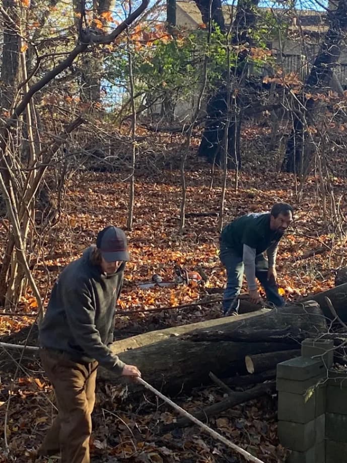 Tree Trimming photo — G & R Tree Surgeons