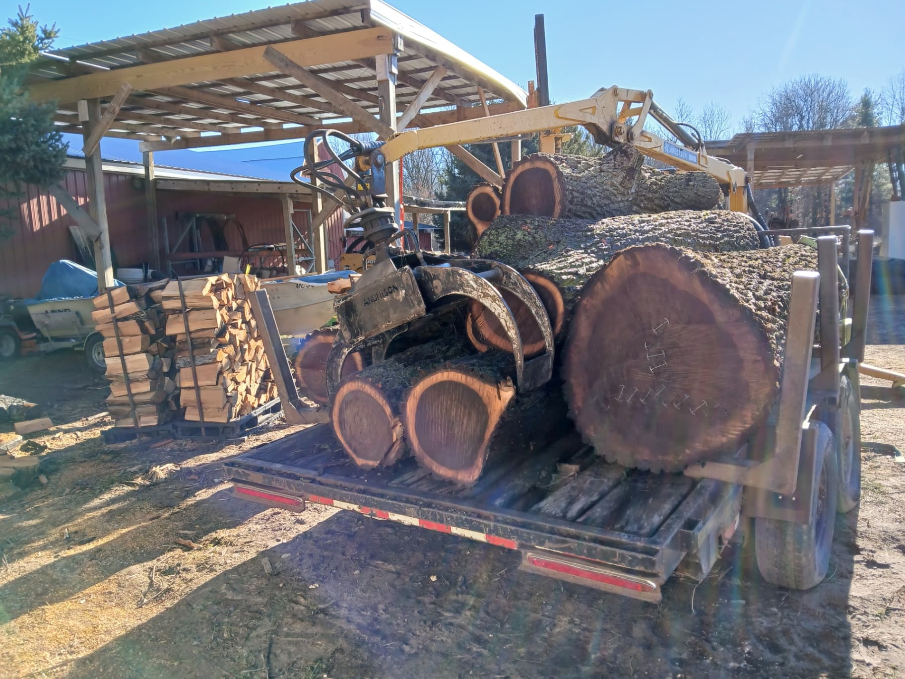 Tree Trimming photo — G & R Tree Surgeons